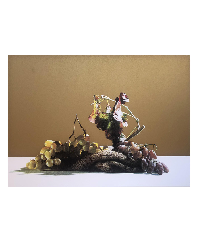 Luciano-Ventrone-Grafica-Natura-Morta-e