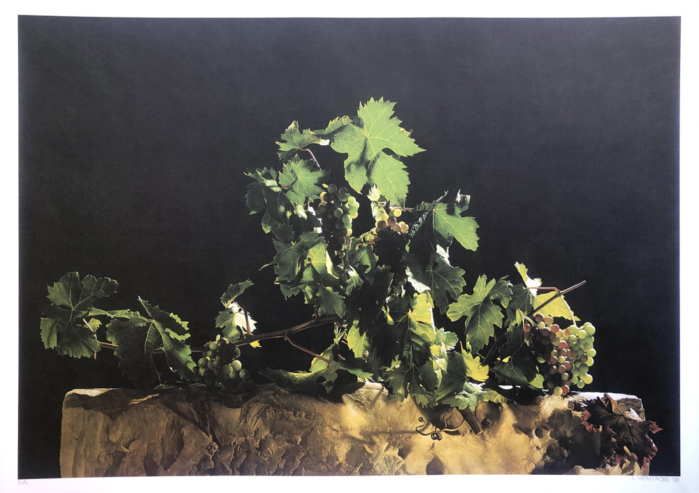 Luciano-Ventrone-Grafica-Natura-Morta-g2