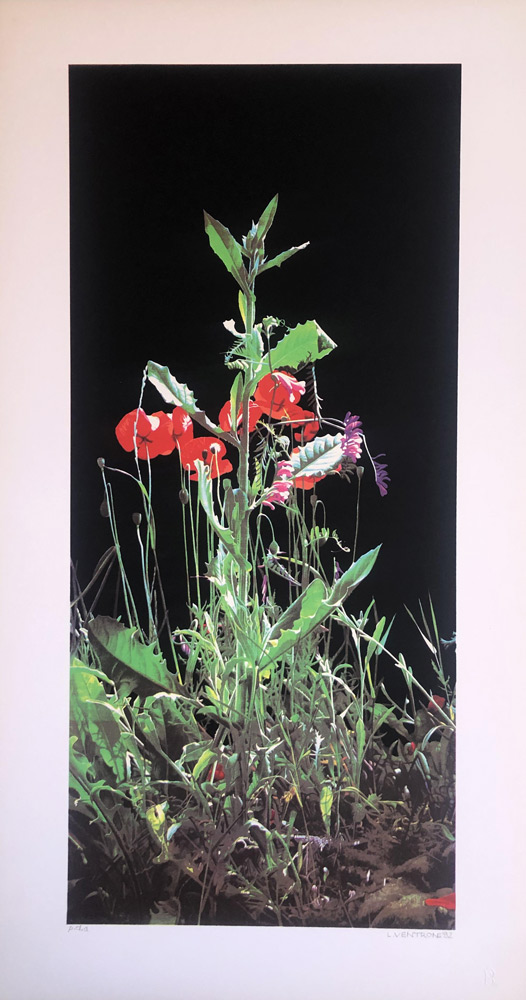 Luciano-Ventrone-Grafica-Natura-Morta-i2